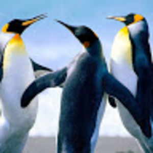 Meet your Posher, Leanne